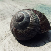 94