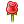 emoticon rose
